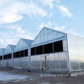 トマトレタスストロベリーのための農業マルチスパン温室